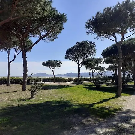 Daire Renove Bord De Boramars Argelès-sur-Mer